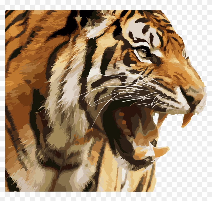 Big Image Angry Tiger Face Png Clipart 2256893 Pikpng
