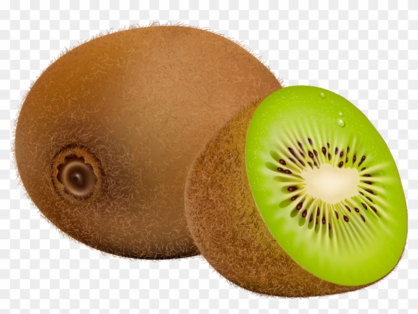 Kiwi Fruit Png Clipart - Clip Art Png Fruit Transparent Png