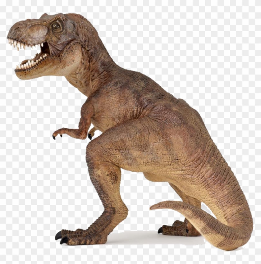 Download Dinosaur Png Images Transparent Gallery - Colour Is At Rex Clipart