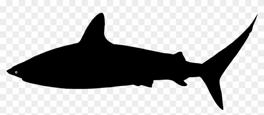 File - Shark Silhouette - Svg - Wikimedia Commons - Shark Silhouette Svg Clipart