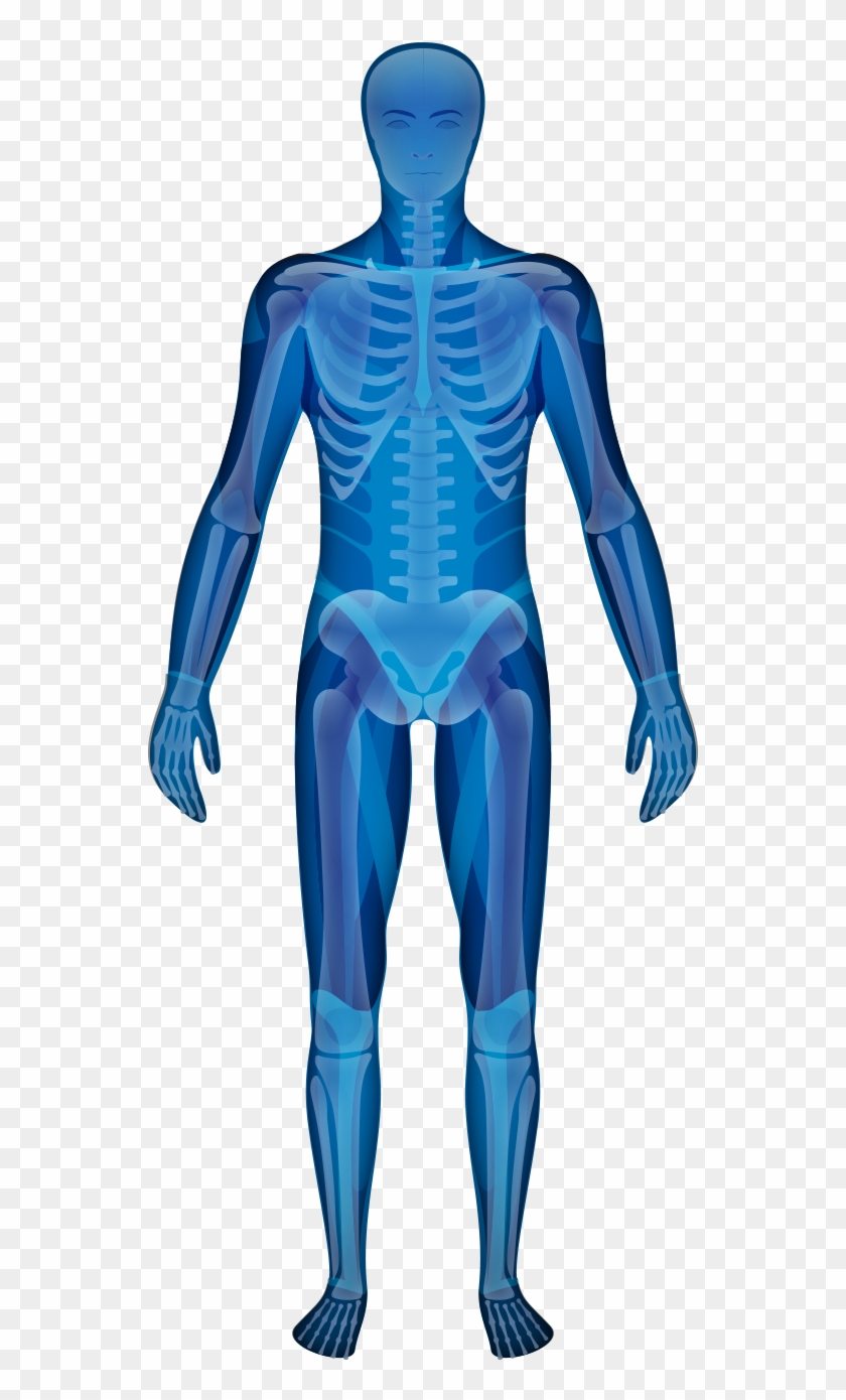 World-class Joint & Spine Care - Male Clipart