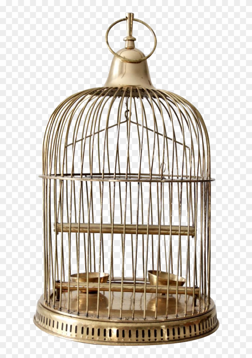 Vintage Bird Cage Png - Value On Vintage Brass Bird Cage Clipart ...