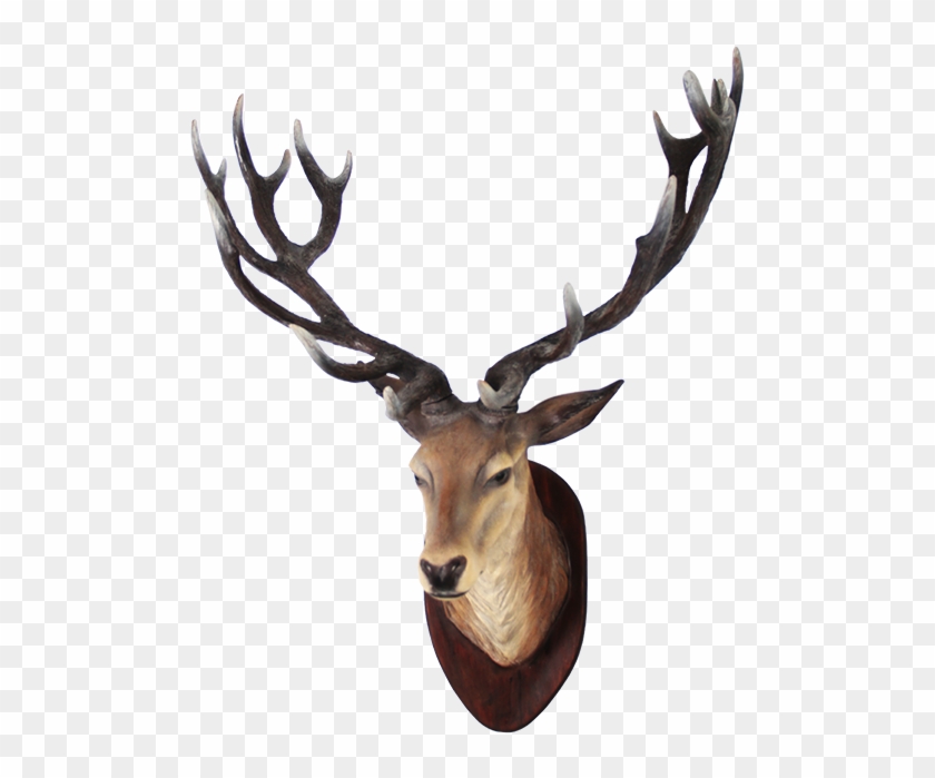 Deer Head Png Transparent Image - Deer Head Png Clipart