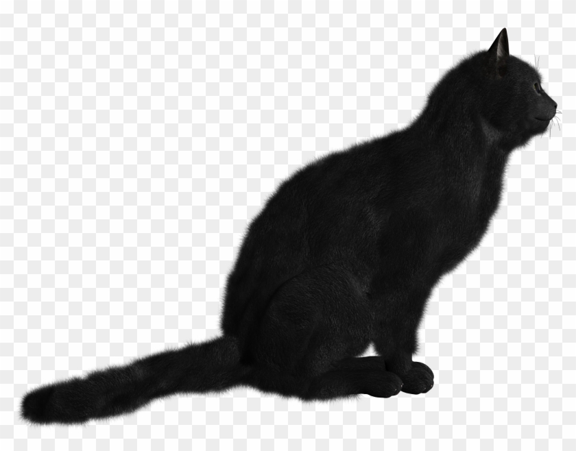 Cats Png Icon - Cat Clipart