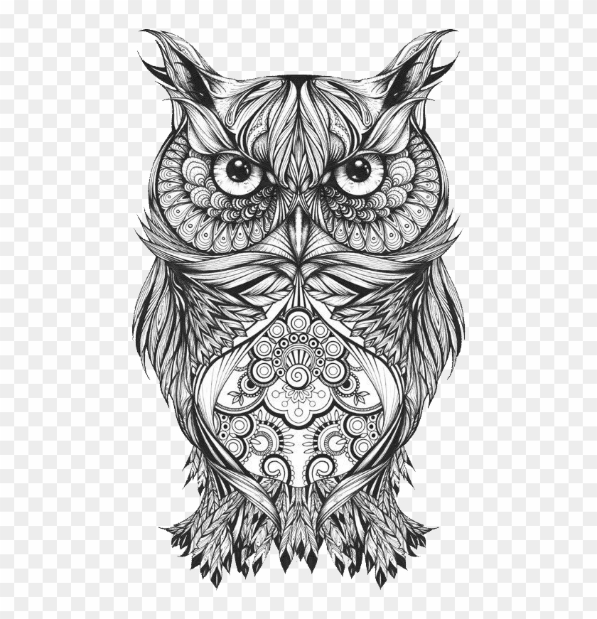 Download Body Owl Sketch Art Tattoo Drawing Clipart Tattoo Mandala Owl Png Download 2546215 Pikpng