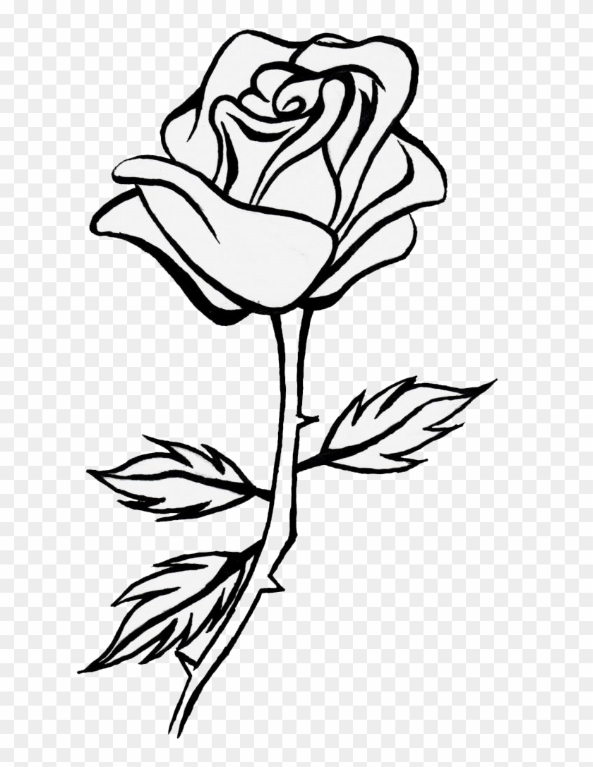 Sunflower Clipart Black And White Rose Line Drawing Flower Png