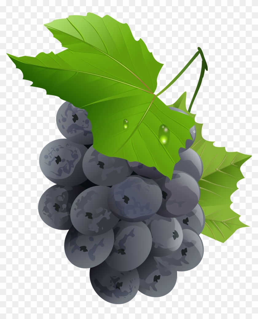 Grapes Transparent Png Clip Art Image