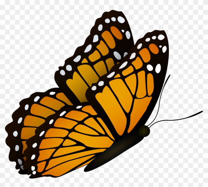 Flying Butterfly Clipart Image - Png Download