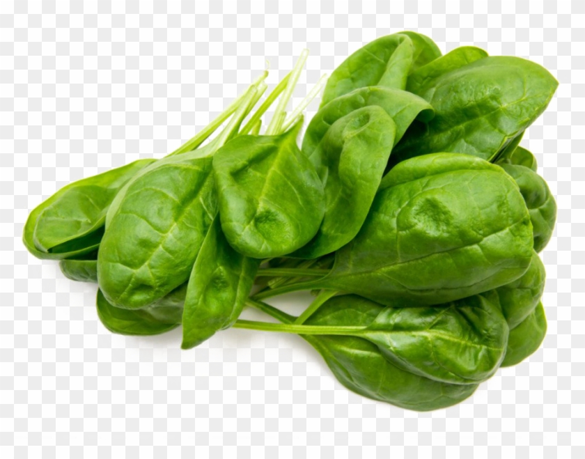 Spinach Png Free Image - Spinach Stock Clipart