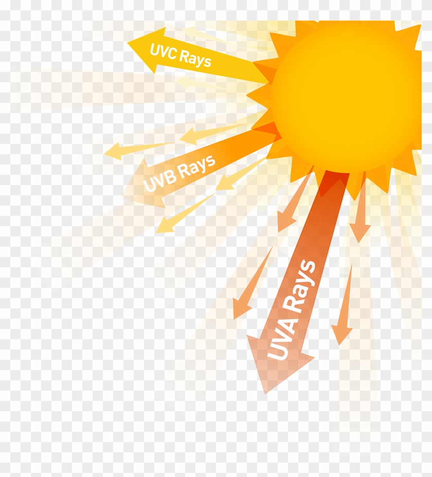 Download Sunlight Clipart Sun Exposure Uv Rays Png Download Png