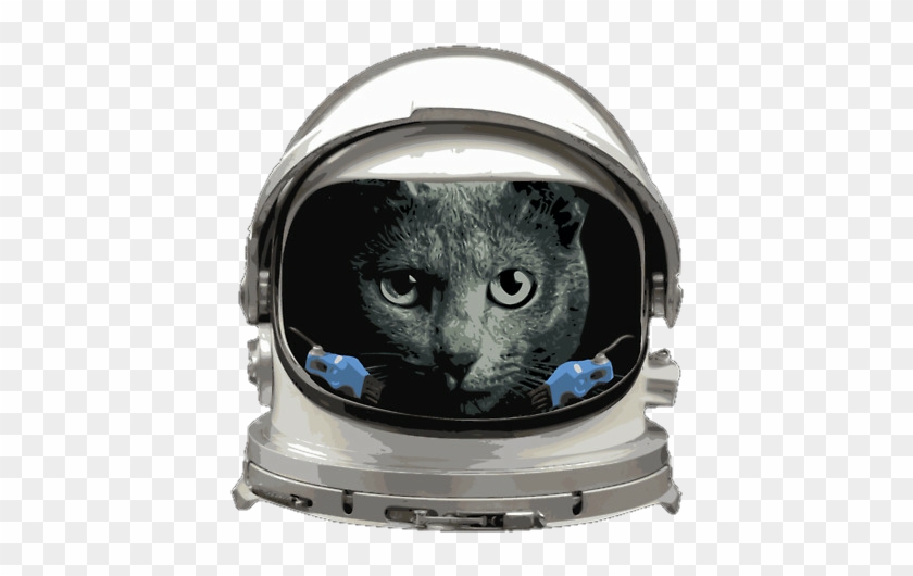 Download Space Helmet Cat Spacecat Astronaut Clipart 2955697 Pikpng