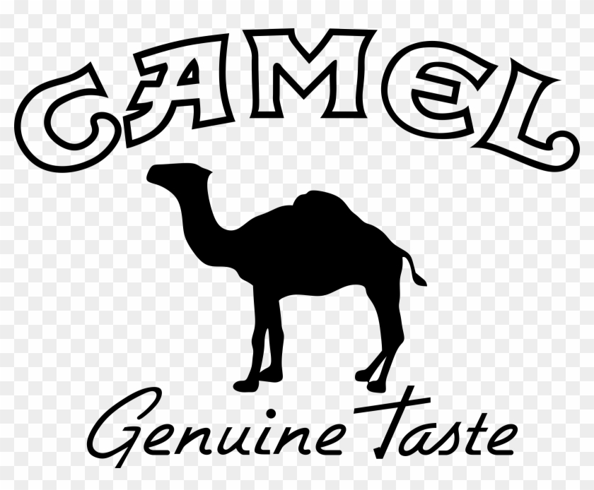 Animal Camel Logo Design Template Stock Vector Image & Art - Alamy