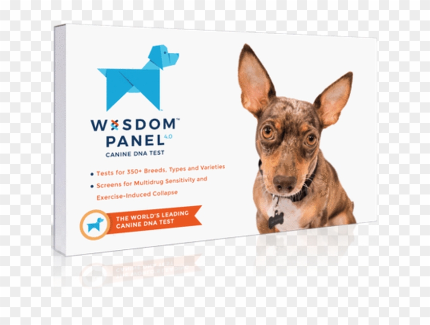 Wisdom Panel Dog Dna Test Clipart