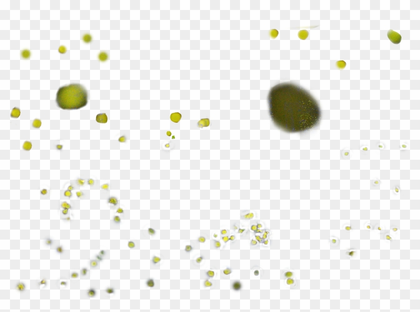 Fireflies Png Clipart #3187411