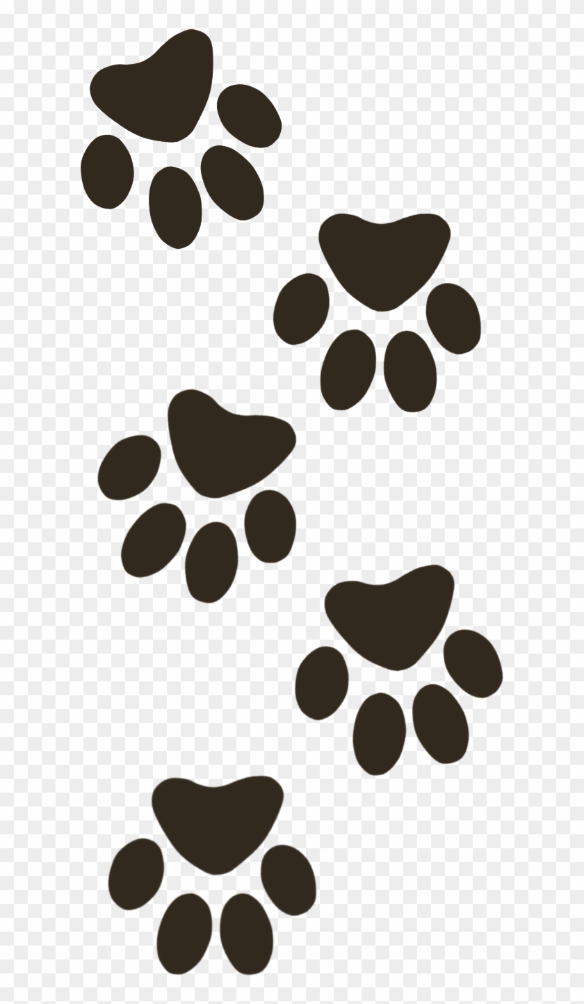 Paw , Png Download - Paws Clipart (#326563) - PikPng