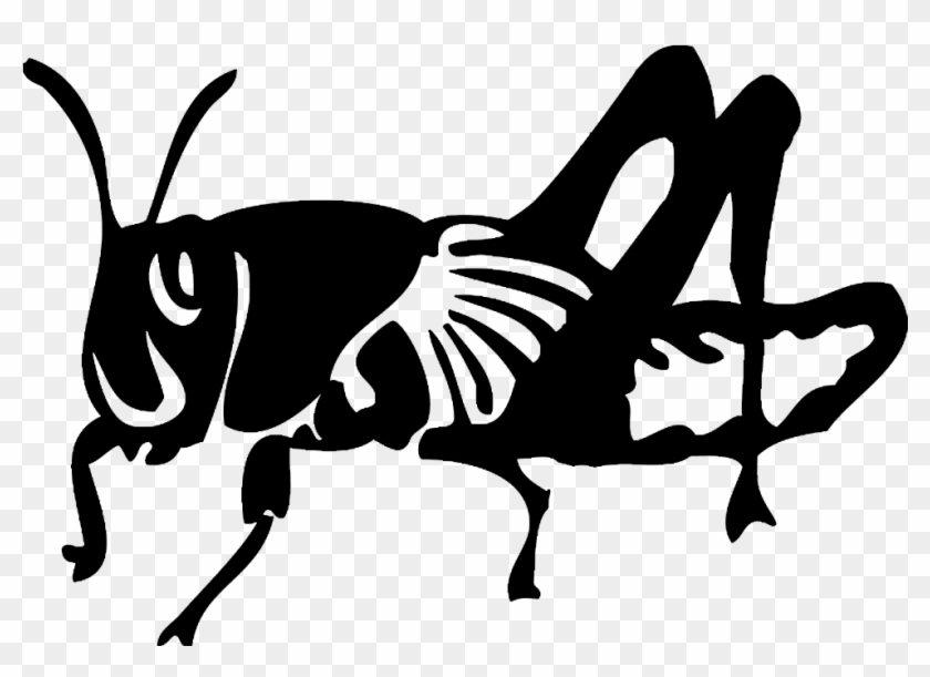Black Locust - Locust Black And White Clipart #3292825