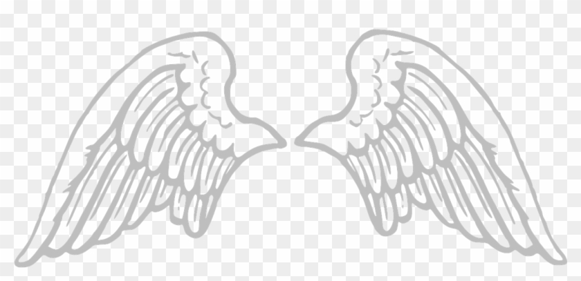 Download Vector - Baby Angel Wings Png Clipart (#3311231) - PikPng