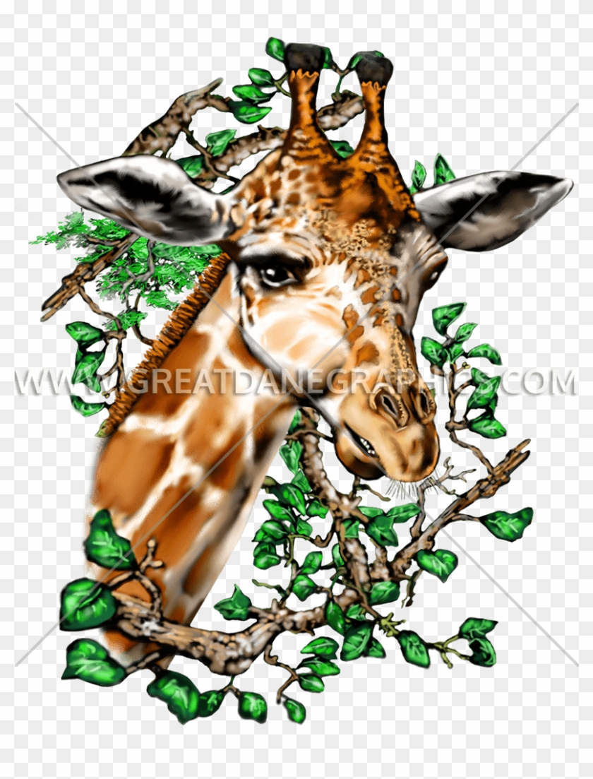 Download Vector Giraffe Svg Giraffe Clipart 3479393 Pikpng