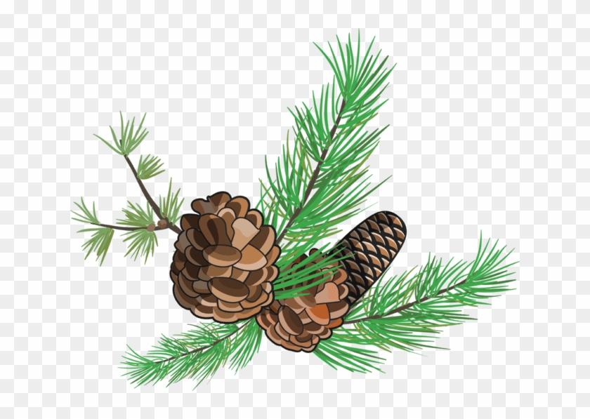 Like Us On Facebook - Shortstraw Pine Clipart (#3704254) - PikPng