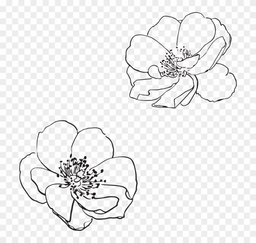 Free Free 258 Outline Wildflower Svg SVG PNG EPS DXF File