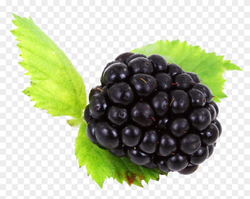 Blackberry Png - Portable Network Graphics Clipart
