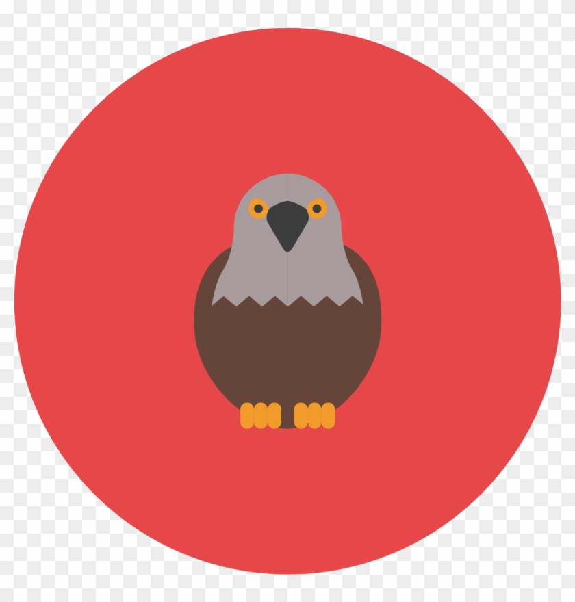 This Icon Represents A Falcon - Hawk Clipart