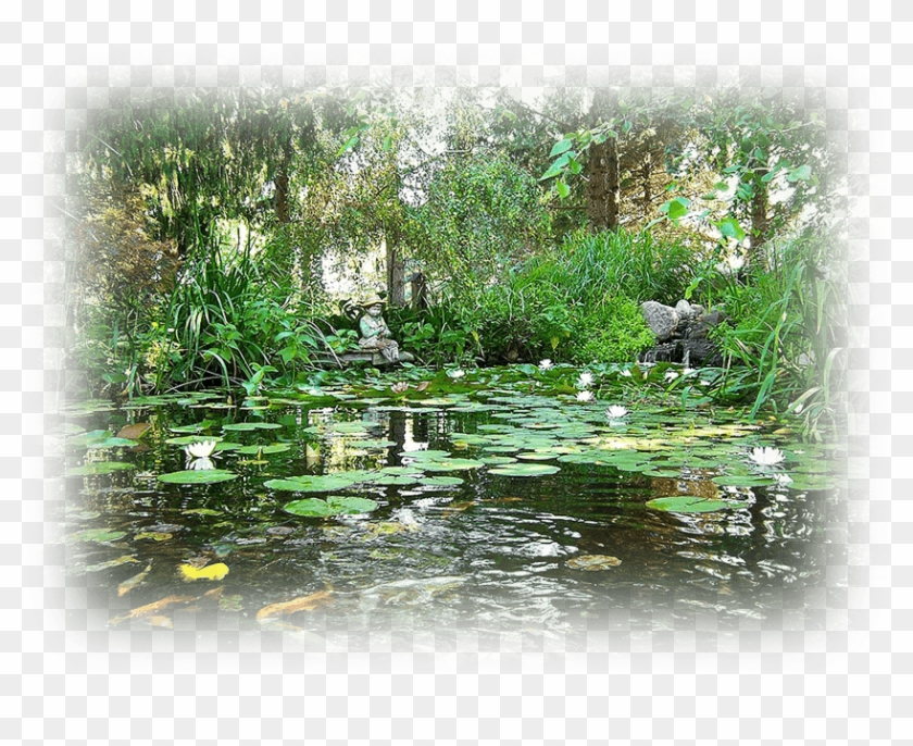 Avada Macbook Image - Fish Pond Clipart