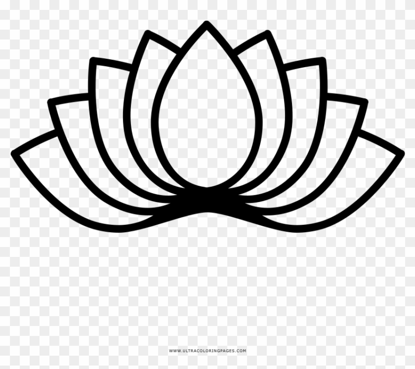 Download Lotus Flower Coloring Page - Drawing Clipart Png Download - PikPng