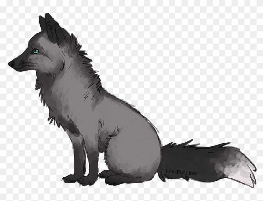 Download Svg Freeuse Stock Drawing Foxes Dark Schipperke Clipart 3912157 Pikpng