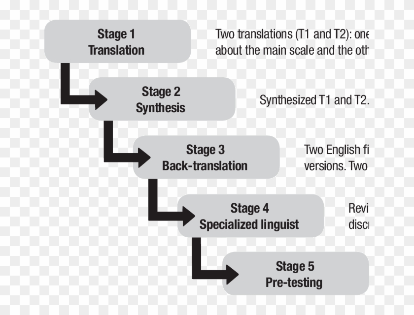 Graphic Representing Stages Of The Cross-cultural Adaptation - Stages Of Cross Cultural Adaptation Clipart