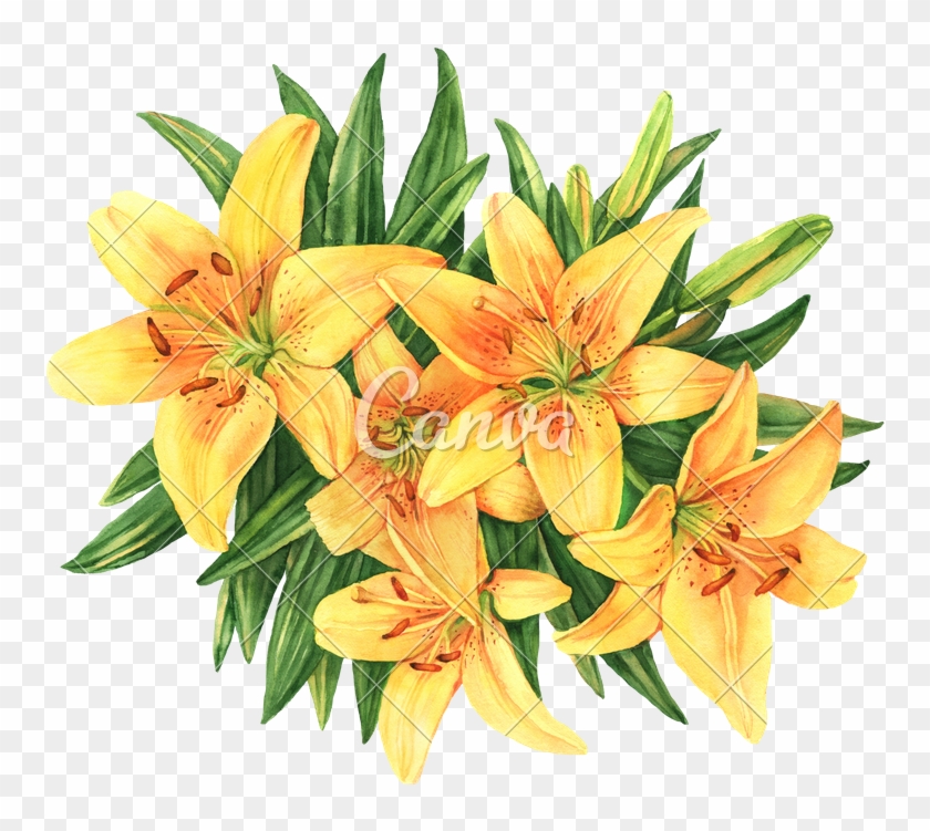 Label Untitled Design Pinterest Liked Explore Lilies Yellow Lilies Png Clipart Pikpng