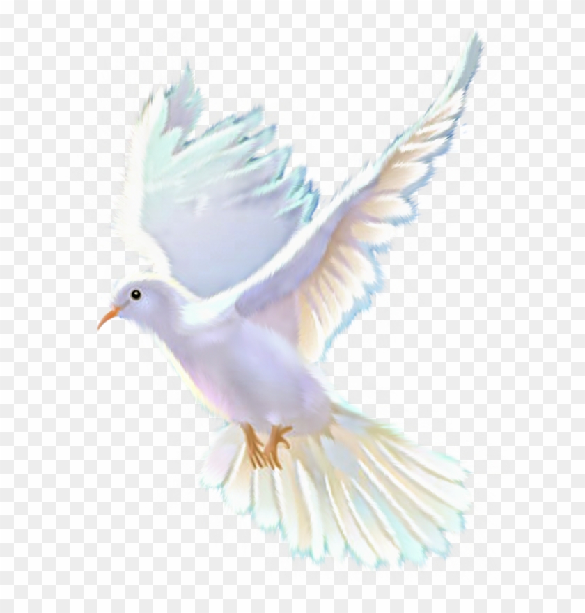 Яндекс - Фотки - Pigeons And Doves Clipart