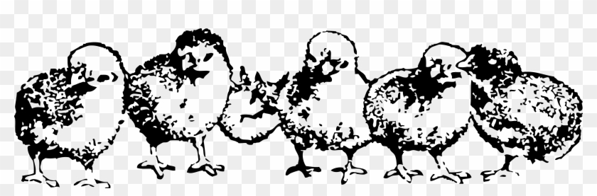 Chicks Png - Black And White Baby Chicks Clip Art Transparent Png