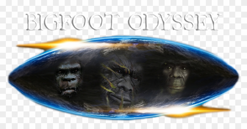 We Are Bigfoot Odyssey - Chewbacca Clipart