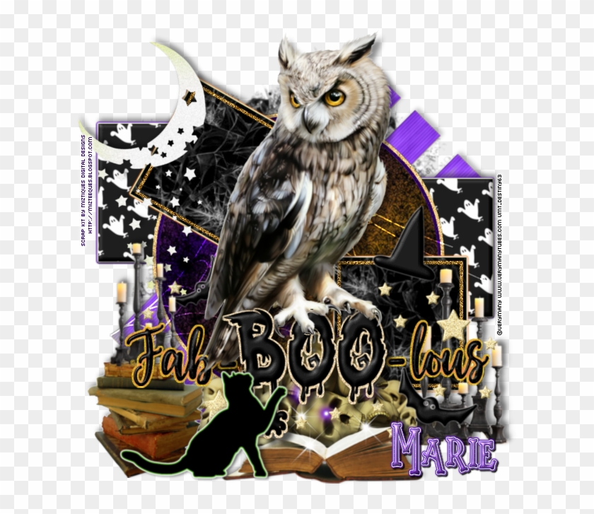 Faboolous - Western Screech Owl Clipart