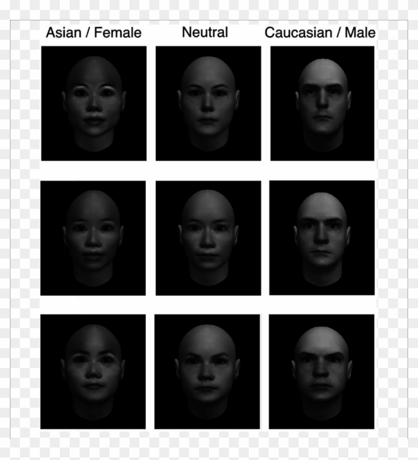 Example Stimuli From Experiment - Gender Neutral Face Morph Clipart