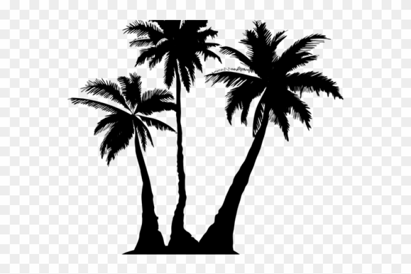Silhouette Palm Tree Clipart Pikpng