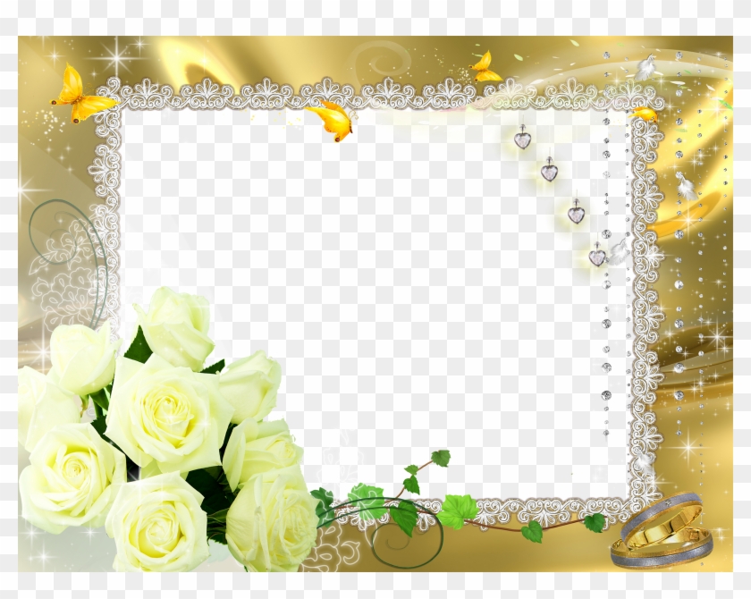 Download Frames Png - Casamento - Garden Roses Clipart Png Download ...