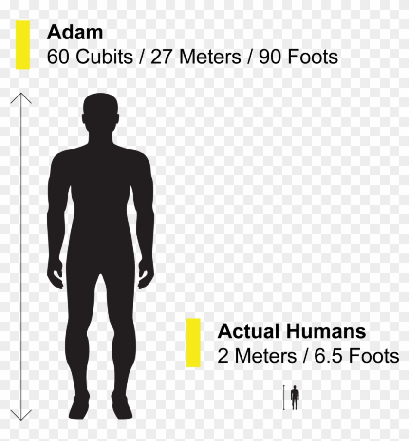 height-of-adam-in-the-islam-alergia-al-ibuprofeno-ronchas-clipart