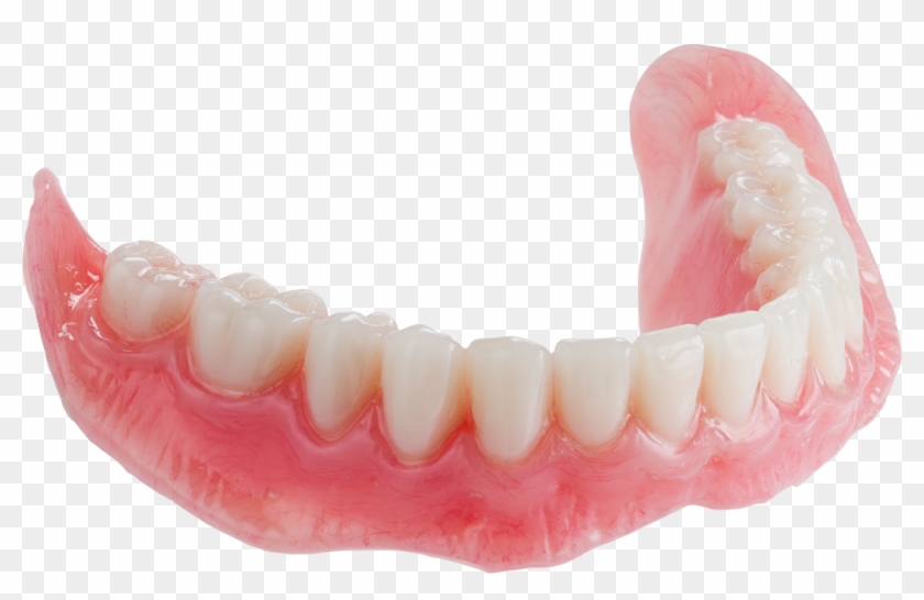 View Larger Denture Of Mandible Clipart 4451144 Pikpng