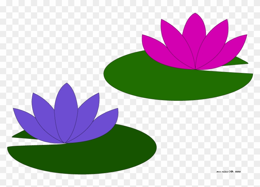 Go Back Gallery For Lily Pad Flower Clipart Lily Clipart Small Png Download Pikpng