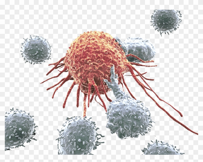 Download Cancer Cell Hero - Transparent Cancer Cells Png Clipart Png