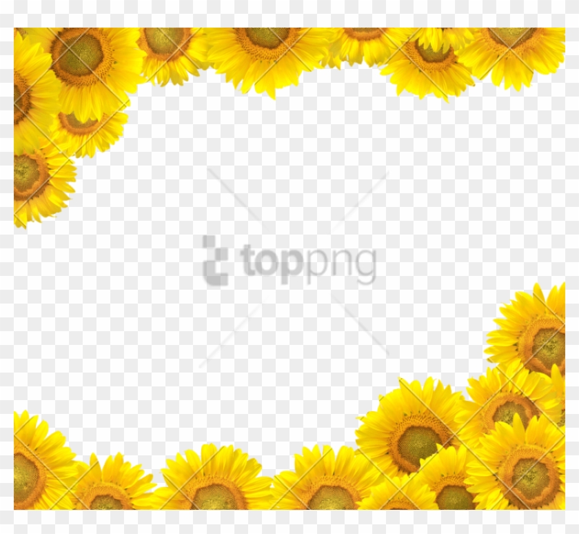 Free Free 67 Clipart Transparent Background Vector Png Sunflower SVG PNG EPS DXF File