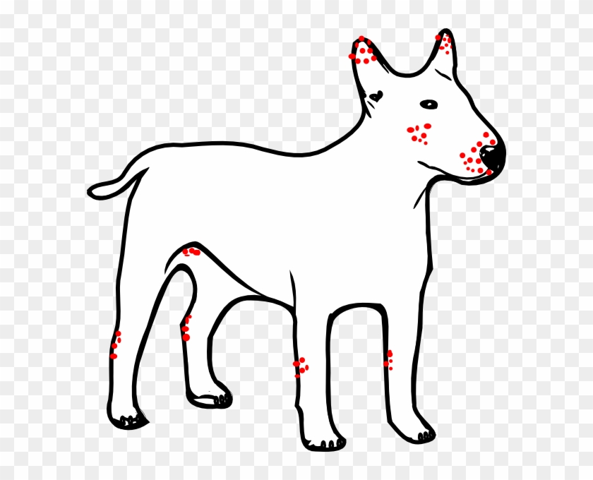 Download How To Set Use Dog With Red Dots Marked As Mites Svg Outline Of A Dog Clipart 4626012 Pikpng PSD Mockup Templates