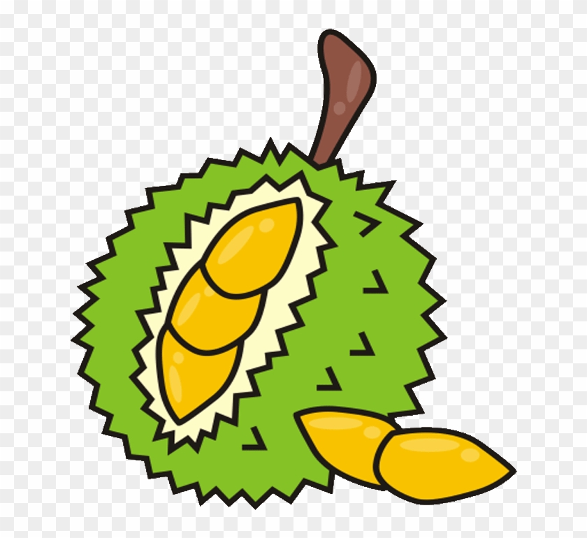 Durian Clipart 5 Png Download 4722144 Pikpng