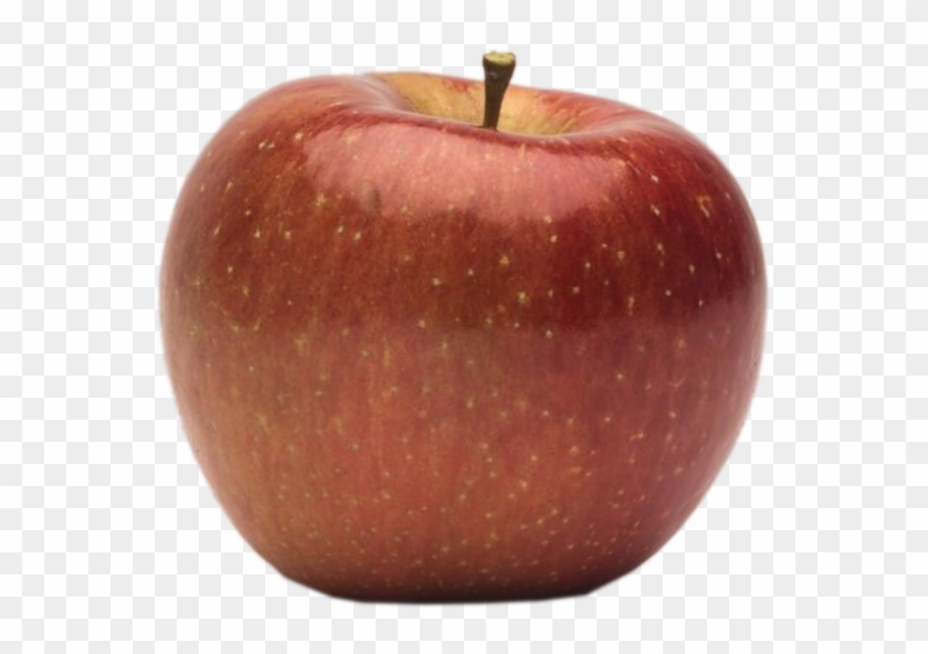 Apple Holler Evercrisp Apple - Mcintosh Clipart
