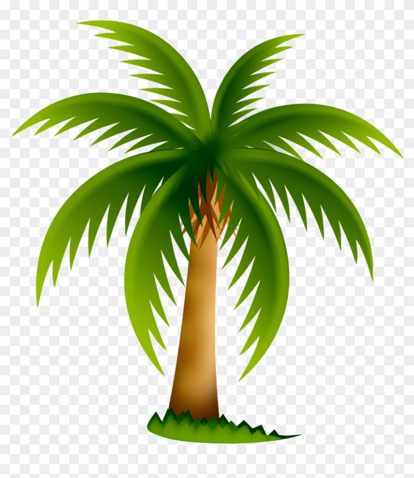 Palmeira Png - Palm Tree Clip Art Transparent Png #4867532