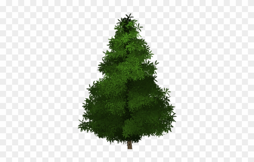 Spruce Tree Painted Tree Green Nature Plant - ต้นไม้ วาด Png Clipart