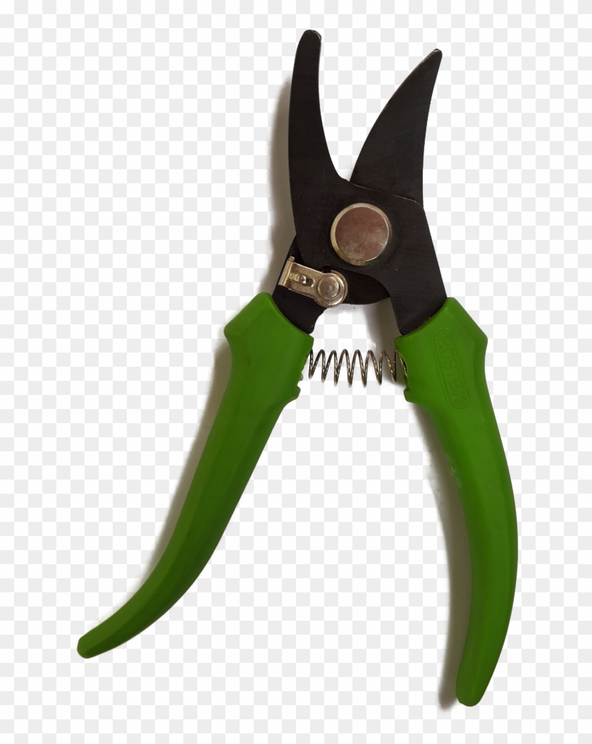 Gardening Tools And Equipment 01 Gardening Tools And - Snips Clipart #4940323