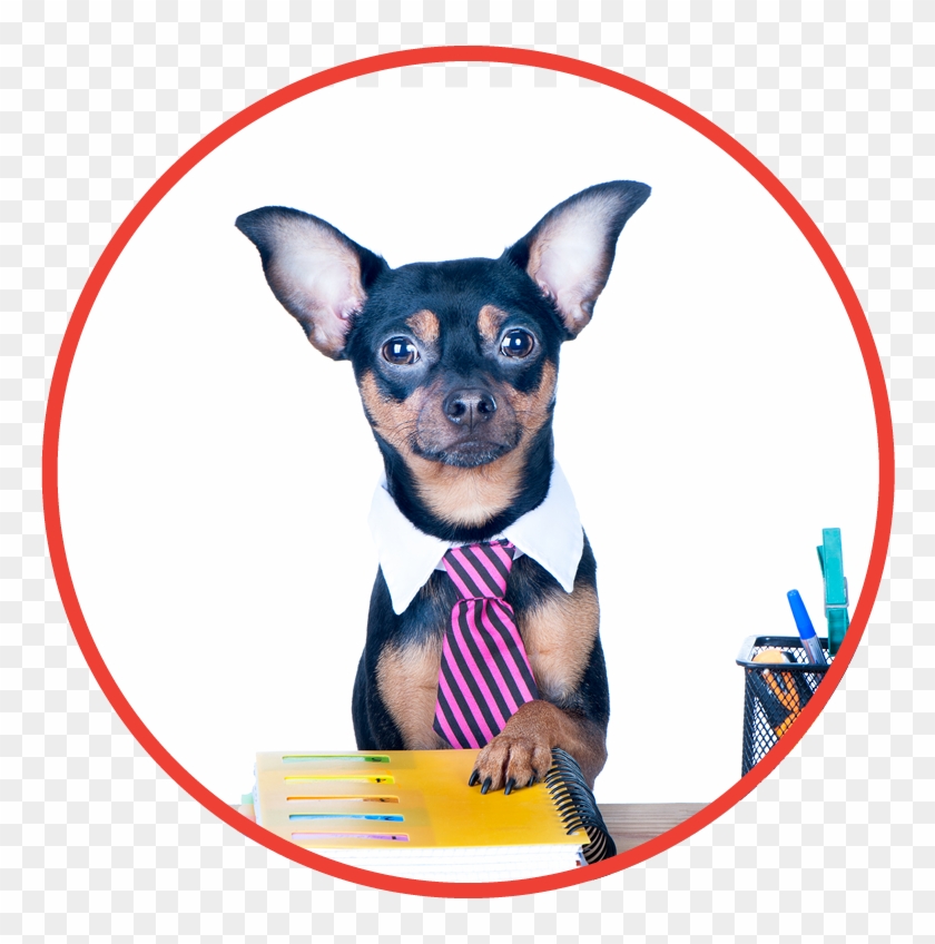Office Products - Chihuahua Clipart